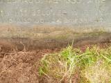 image of grave number 808611
